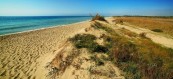 Spiaggia di Torre Mozza Ugento