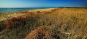 TORRE MOZZA - RESIDENCE RIVAMARE UGENTO