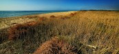 TORRE MOZZA - RESIDENCE RIVAMARE UGENTO