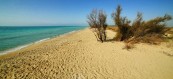 TORRE MOZZA - RESIDENCE RIVAMARE UGENTO